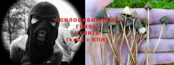 гидропоника Осинники