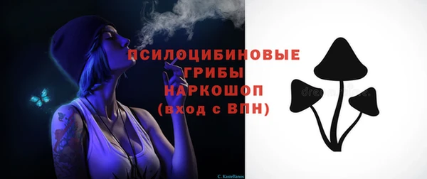 прущая мука Няндома