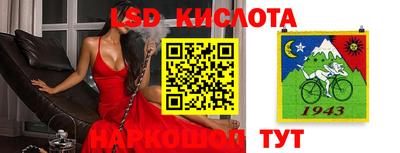 прущие грибы Рыбинск