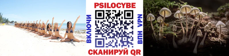Псилоцибиновые грибы Psilocybine cubensis  блэк спрут маркетплейс  Тихорецк 