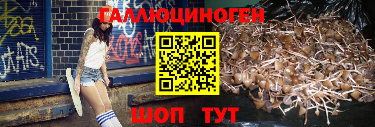 Тихорецк  как найти закладки  Вход с VPN  Псилоцибиновые грибы MAGIC MUSHROOMS 