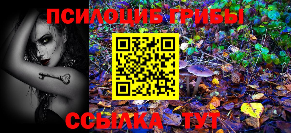 Псилоцибиновые грибы мухоморы Тихорецк